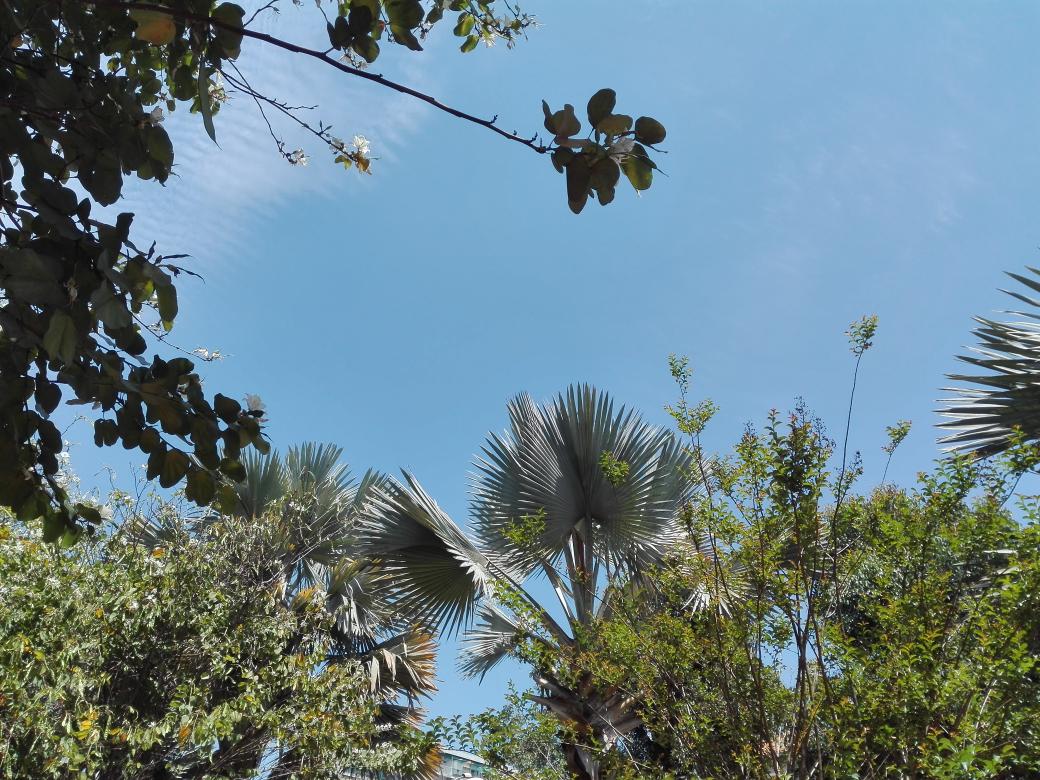 Même une fleuve tranquille contient plein de rebondissements...