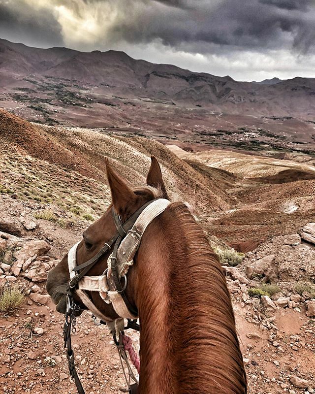 ✨Couper son quotidien pour traverser l’Atlas  à cheval 🐴 🇲🇦 Jour 1
•
•
•
#maroc #morroco #morrocotravel #cheval #horse #holidays #vacances #discovery #atlas #instagood #feelinggood 
W/ @camilleclimb @luciolinna ift.tt/2MgvyzN
