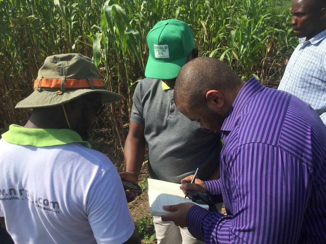 nirsalconnect's tweet photo. NIRSAL’s aggregation of small farm holdings into Geo-cooperatives is bringing Nigeria’s contrast of abundance and lack into vivid view: Land, labour &amp; markets abound, rainfall is sufficient. Yet, where are the tech, equipment, intellectual, &amp; finance capitals to explore these? https://t.co/XZqOWt00qx