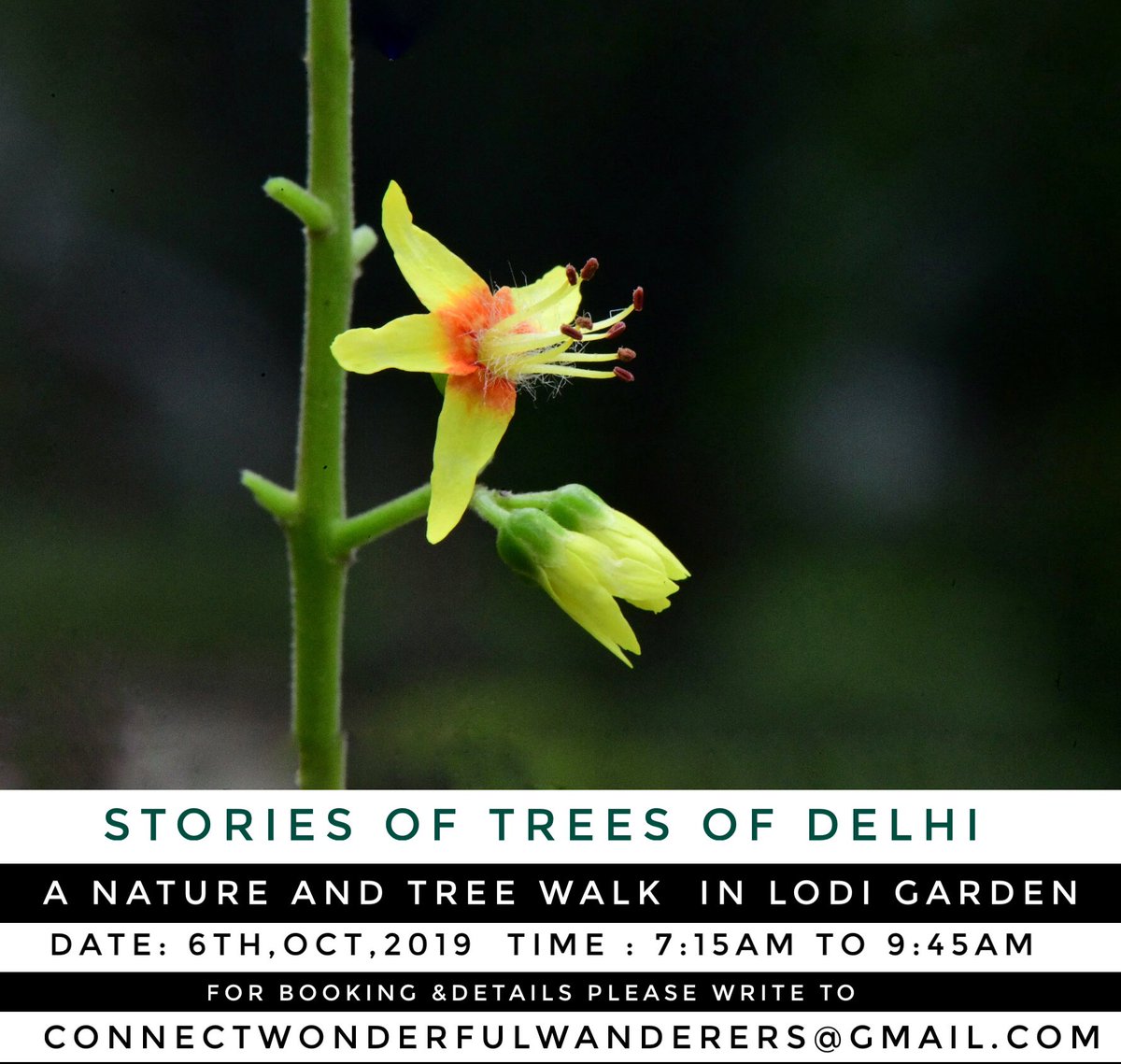 The Last Call for Tomorrow’s Tree Walk, #StoriesOfTreesOfDelhi .
Let me know if you need any help.
Write to connectwonderfulwanderers@gmail.com for completion of registration formalities .

Sunday at 7:15 AM facebook.com/events/6246635…