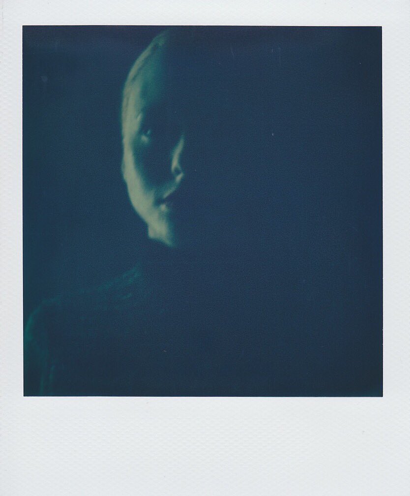 boddendijk1's tweet photo. "Green Girl" #polaroid #slr680 on #polaroidoriginals #film #nightphotography https://t.co/SNMwN377nv