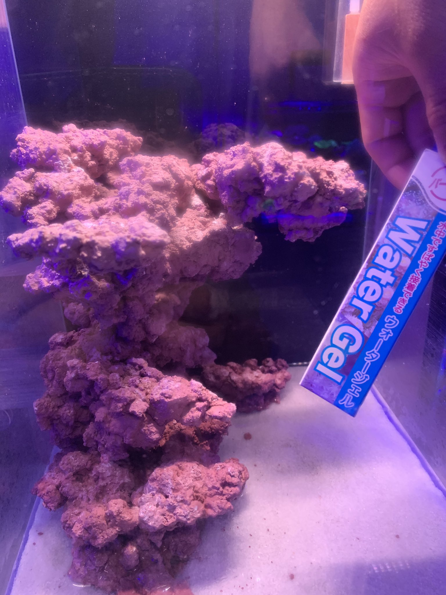 Delphis Water Gel ウォータージェル で作った岩組レイアウト パープルカラーの瞬間接着剤 なので ナチュラルな仕上がりに 思いのままにレイアウトを楽しもう Water Gelページhttps T Co Jh7xadzwe9 海水魚 サンゴ ライブロック