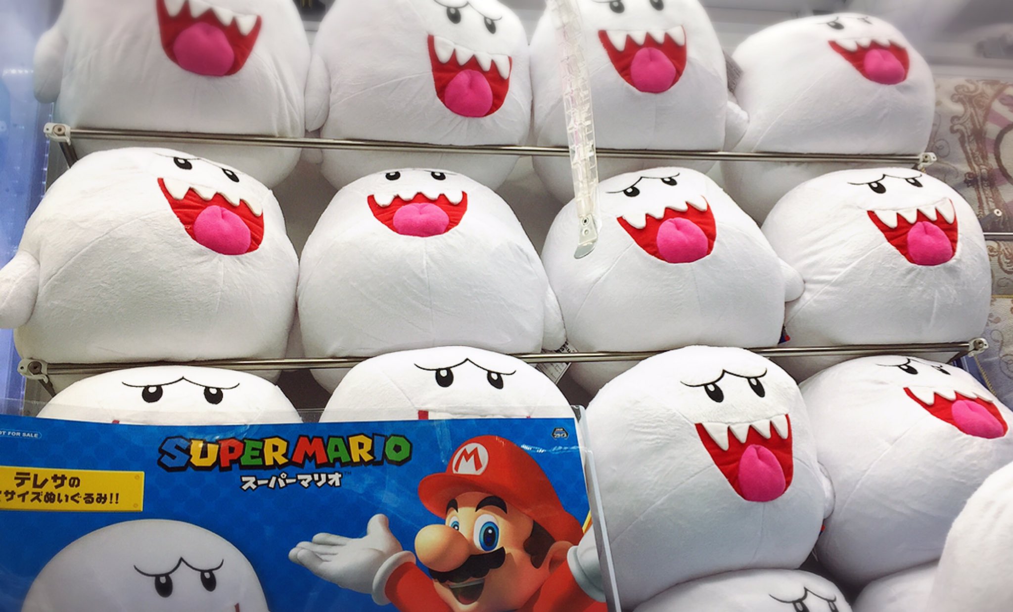 ぬいぐるみの行方 テレサ sp サイン WS】ぬいぐるみの行方 テレサ(サイン)【SP】Ffp/W120-047 - C