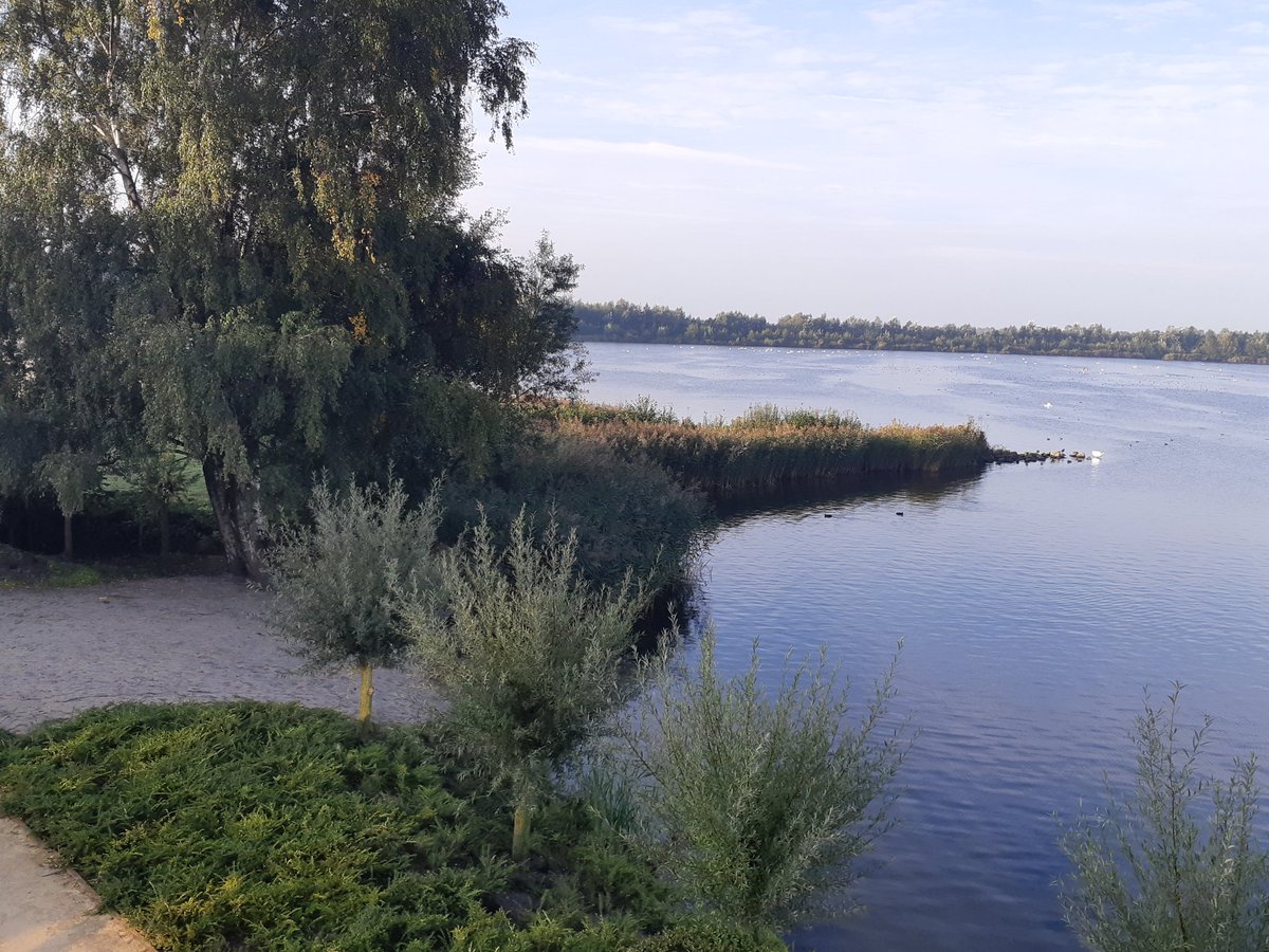 JolandaRegout's tweet photo. Een inspirerende presentatie van Hans van Breukelen tijdens de scholing van #MS Zorg Nederland. Werk vanuit je passie, sta in je kracht en wees positief kritisch. https://t.co/cwhuitQ7kN