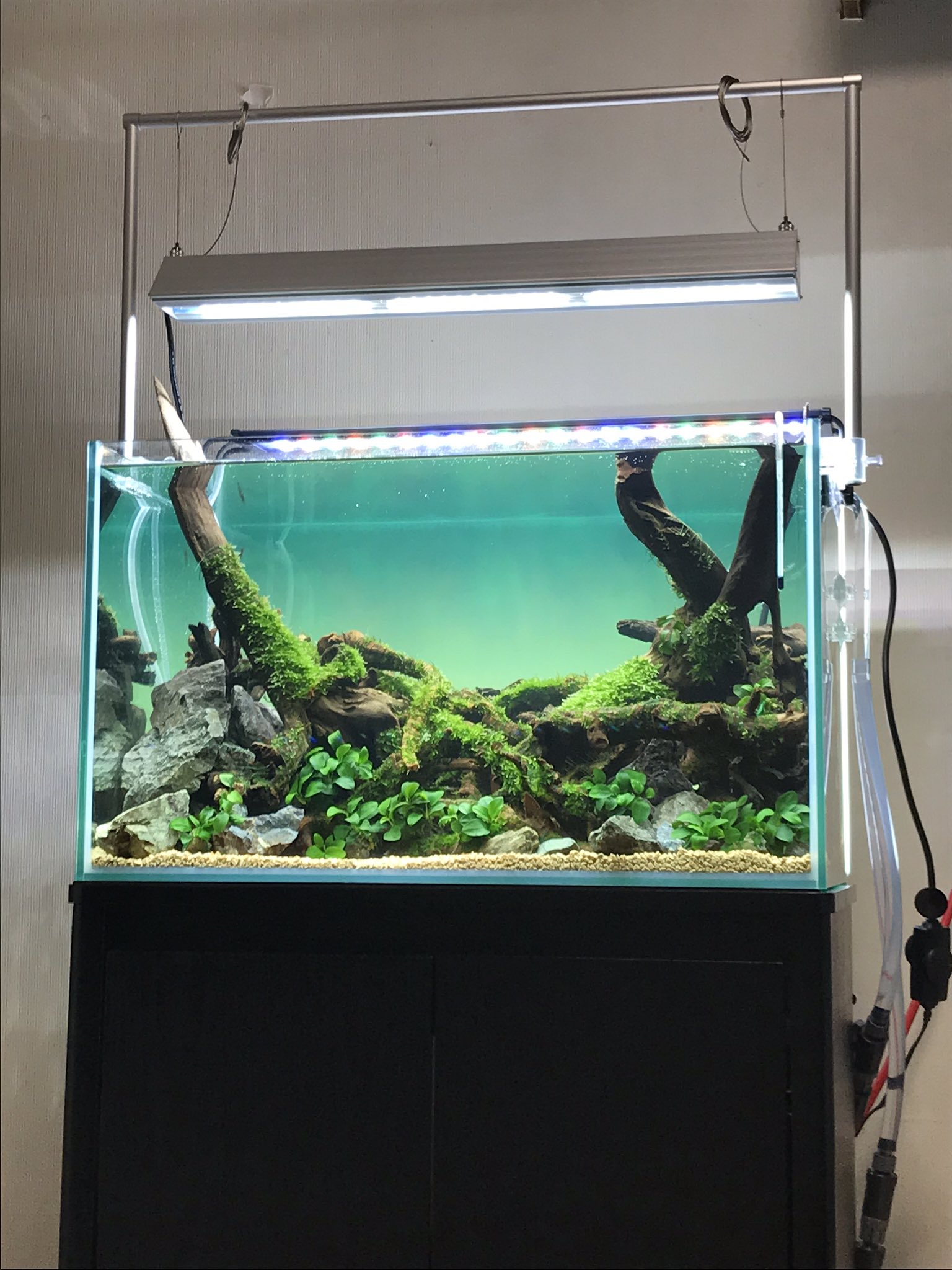 水槽ライトスクリーン60cm×45cm - 魚用品/水草 水槽ライトスクリーン60cm×45cm - 魚用品/水草
