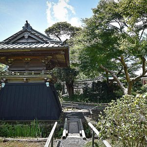 JapanReference's tweet image. Eishо̄-ji (英勝寺), the last remaining nunnery of Kamakura jref.com/articles/eisho…