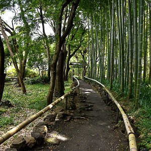 JapanReference's tweet image. Eishо̄-ji (英勝寺), the last remaining nunnery of Kamakura jref.com/articles/eisho…
