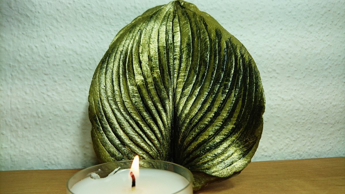 OderKunst's tweet photo. Beton Lichtschale 
#art #artwork #kunst #beton #betondeko #betonoptik #betondesign #mayagold #Lichtschale  #schale #schalen #walnuß #puzzl #puzzelspiel #puzzelteile #hobby #Hosta #funkie #hostafunkie #blätter #blatt #schale 
https://t.co/BtQRfSsNBq https://t.co/BEVgrHAet7
