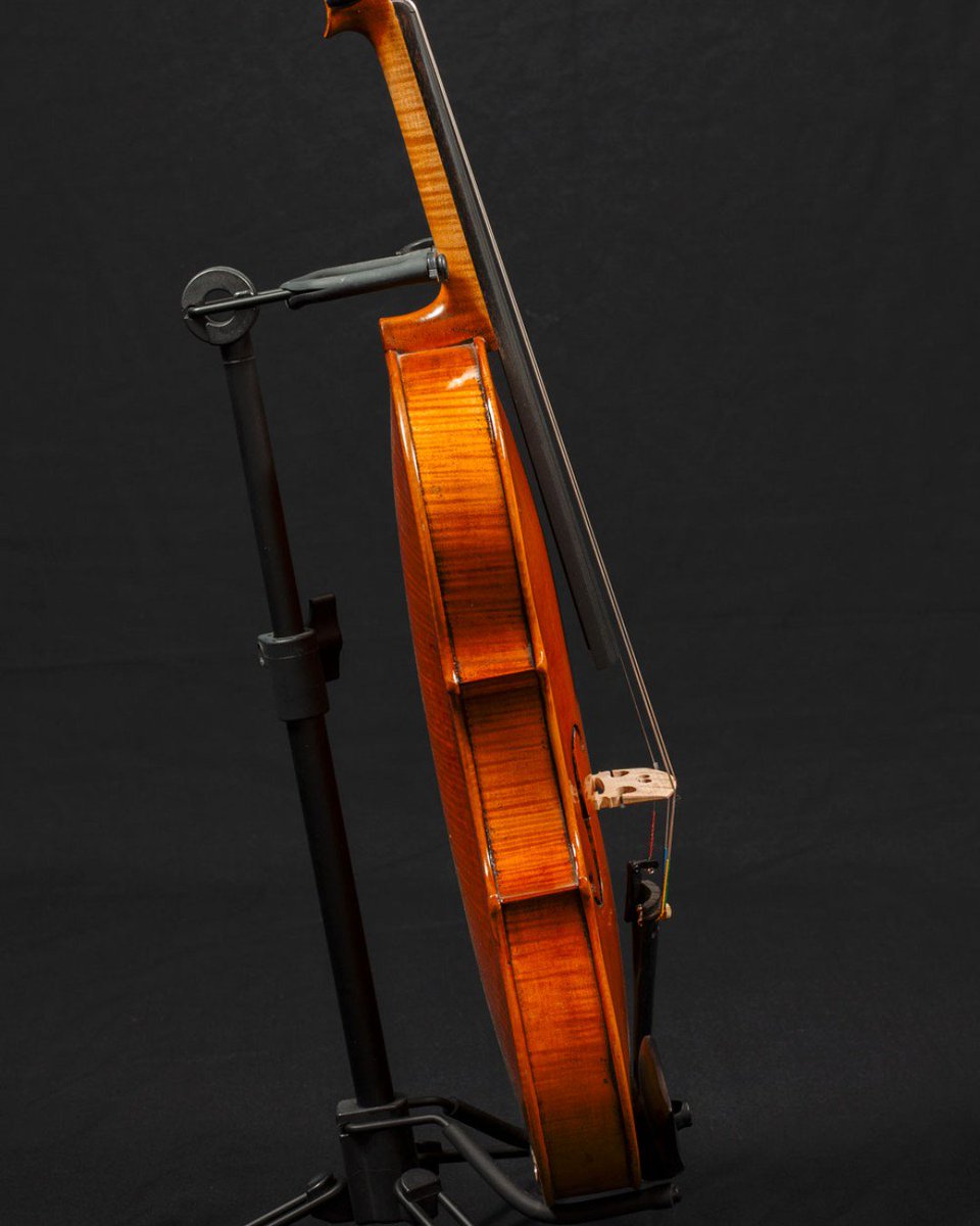 Strike a pose! 

#hidersineorchestral #hidersine #violin #violinplayer #violinist #instaviolin #violinlife #orchestralife #orchestral #classicalmusic #instamusic #classical #stringinstrument #woodgrain #luthier #photography #musicphotography #violinphotography