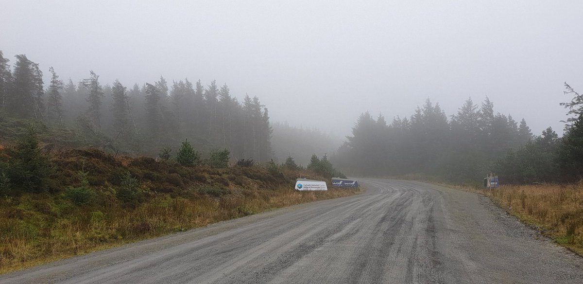 Brad84MJ's tweet photo. Myherin today for @WalesRallyGB for some @OfficialWRC action. @nepfinland setting up for #WRCLive as the fog rolls into the quiet hills. Well, quiet for now!! @Becsywecsy @voiceofrally https://t.co/CIqu7ADZtC