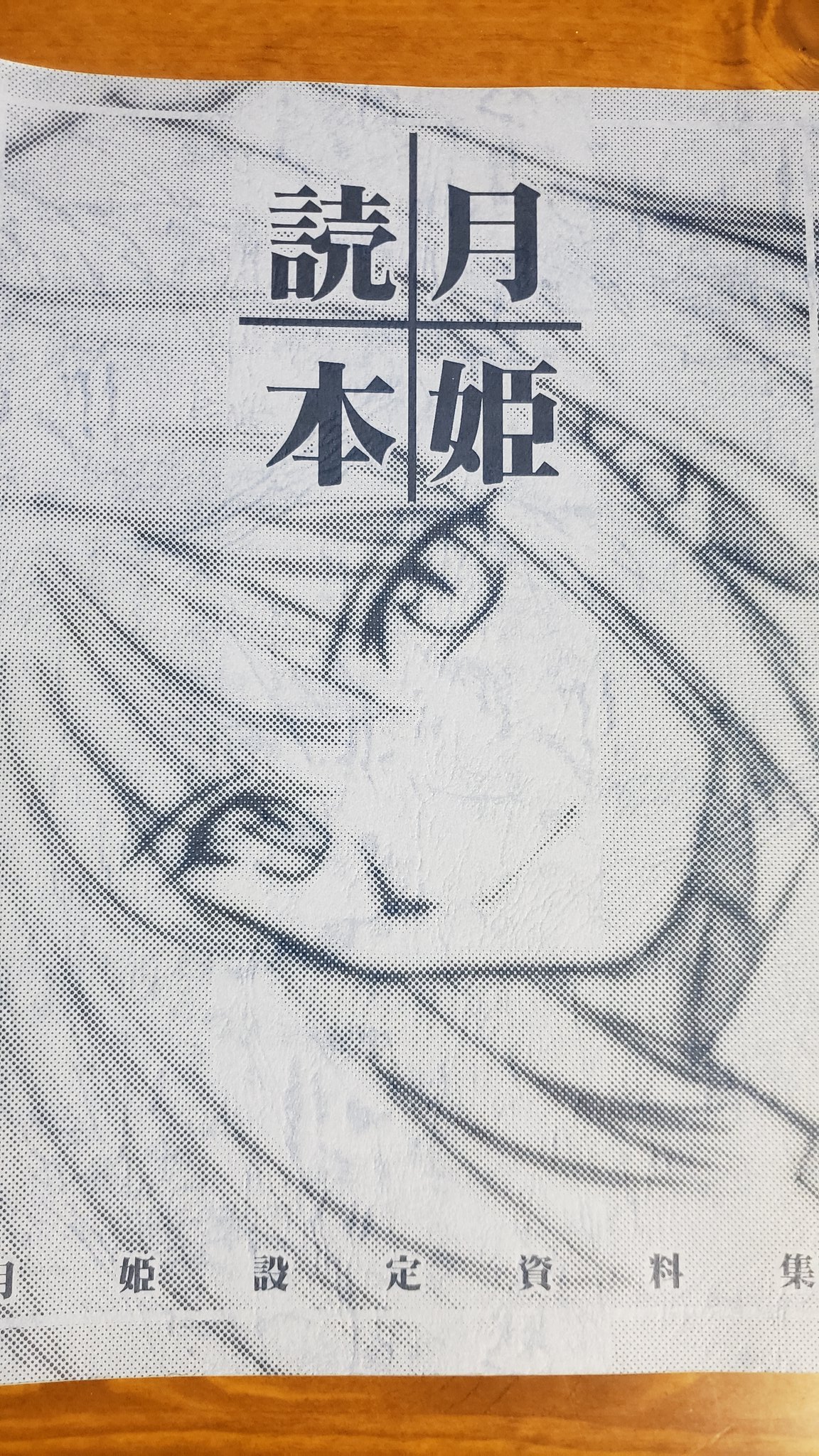 月姫読本 改訂版 月姫設定資料集 青本 - その他 月姫読本 改訂版 月姫設定資料集 青本 - その他