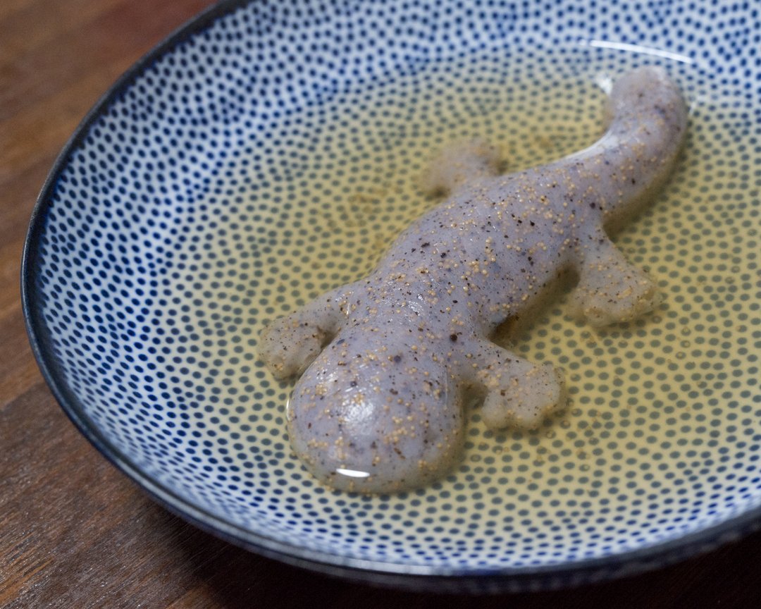 見た目の質感がリアルすぎ!広島のオオサンショウウオこんにゃくが話題に! - EGGnDe U4AA248B
