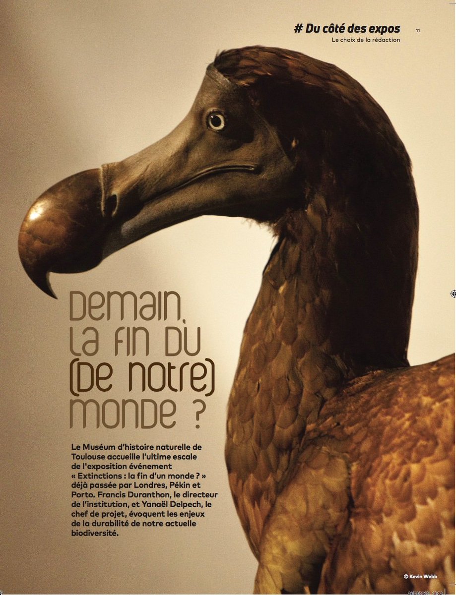 marnal's tweet photo. A partir du 9 octobre, "Extinctions, la fin d'un monde ?", l'exposition temporaire événement du @museumtoulouse. L'entretien avec Francis #Duranthon et Yanaël #Delpech, à lire dans @LeBrigadier1. #Ducôtédesexpos #Autopromo https://t.co/AqMelT7Euu