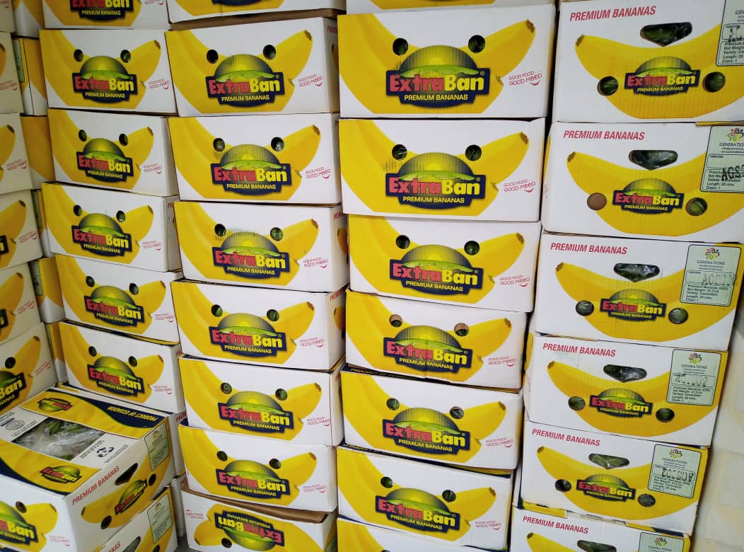 #extraban #frutadeli #frutadeliworld #bananasasweetpassion #frutadelimoments #freshfruits #greenbanana #iran #tropicalfruits #banana #muz #bananas #export #import #ecuador #aebe #passionfruit #ecuadorprimer #mersin #fruitcompany
mob_whatsapp:00909146013129 
HAFEZ