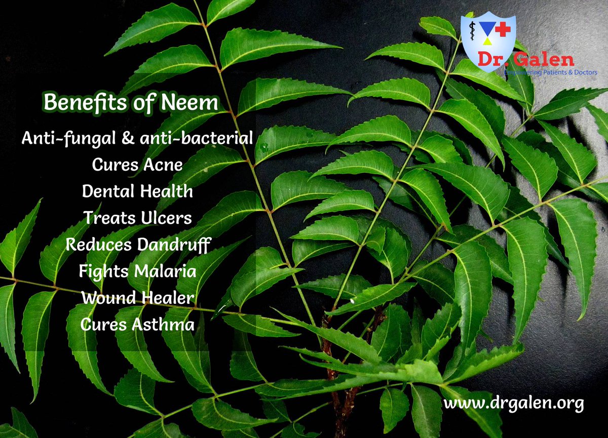drgalen_org's tweet photo. 𝑵𝒆𝒆𝒎: 𝑫𝒊𝒗𝒊𝒏𝒆𝒍𝒚 𝑷𝒐𝒘𝒆𝒓𝒇𝒖𝒍
https://t.co/C9IcTJ2c11
#healthcare #healthtips #healthbenefits #Neem #benefitsofneem #healthbenefitsofneem #healthylife #healthyliving https://t.co/SZ8ZyK3znT