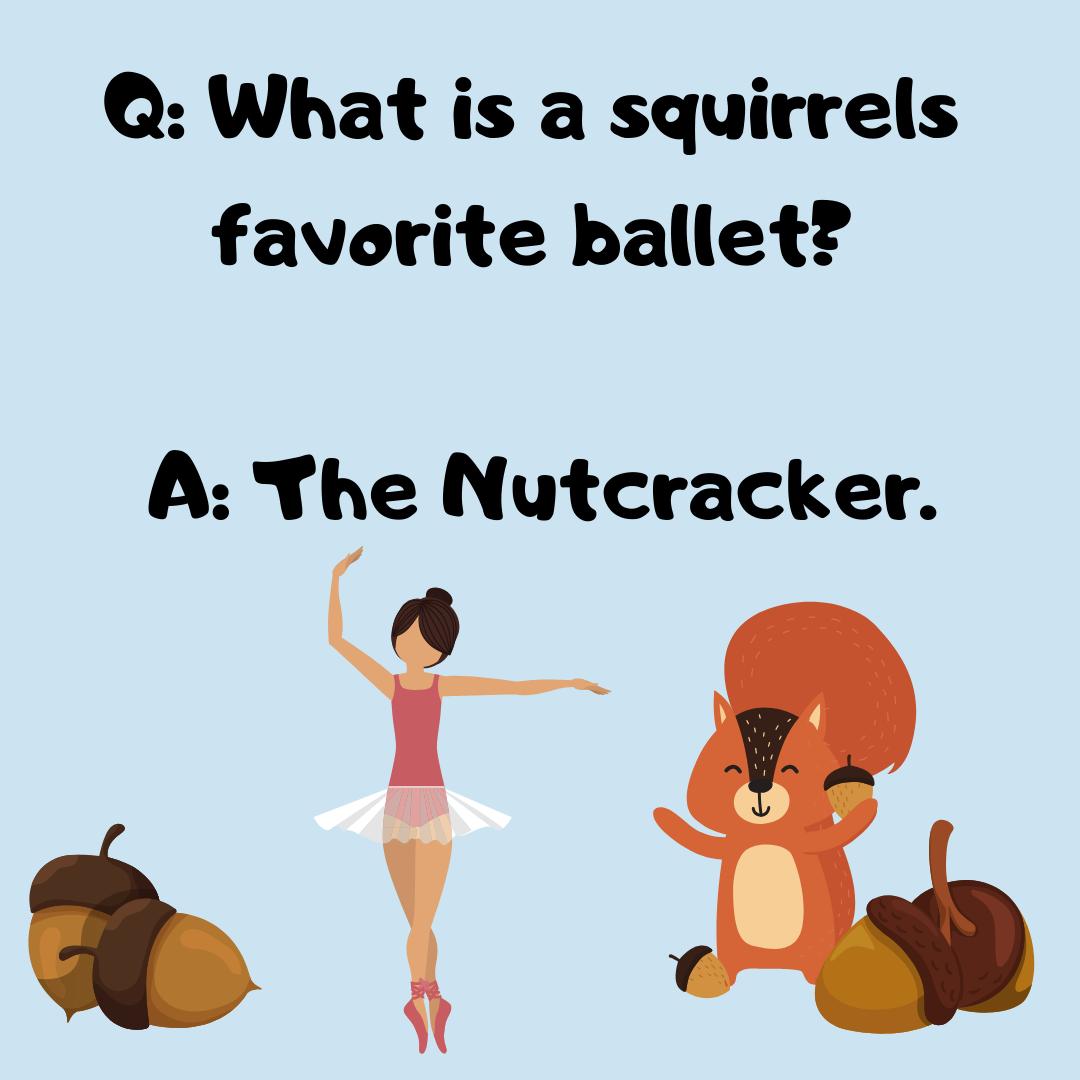 pirateplaycent1's tweet photo. Fancy a quick autumn-themed joke? 🐭🍄 🌰 🍂 What's your favourite autumn joke? https://t.co/zug3jzPpFz