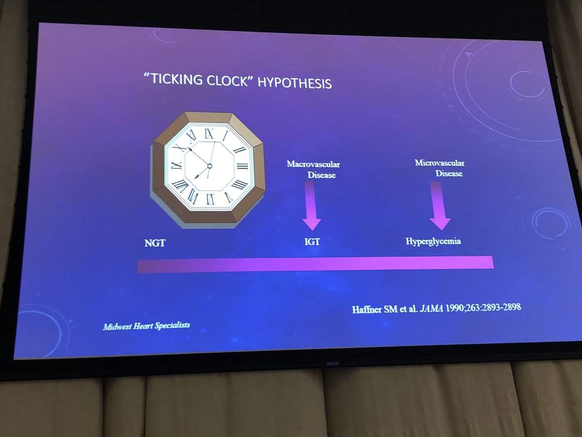 braun_lynne's tweet photo. Ticking clock hypothesis — trajectory to diabetes @alanbrownmd @avolgman @cardio10s #RushLipidProgram https://t.co/MXeexQy8vm