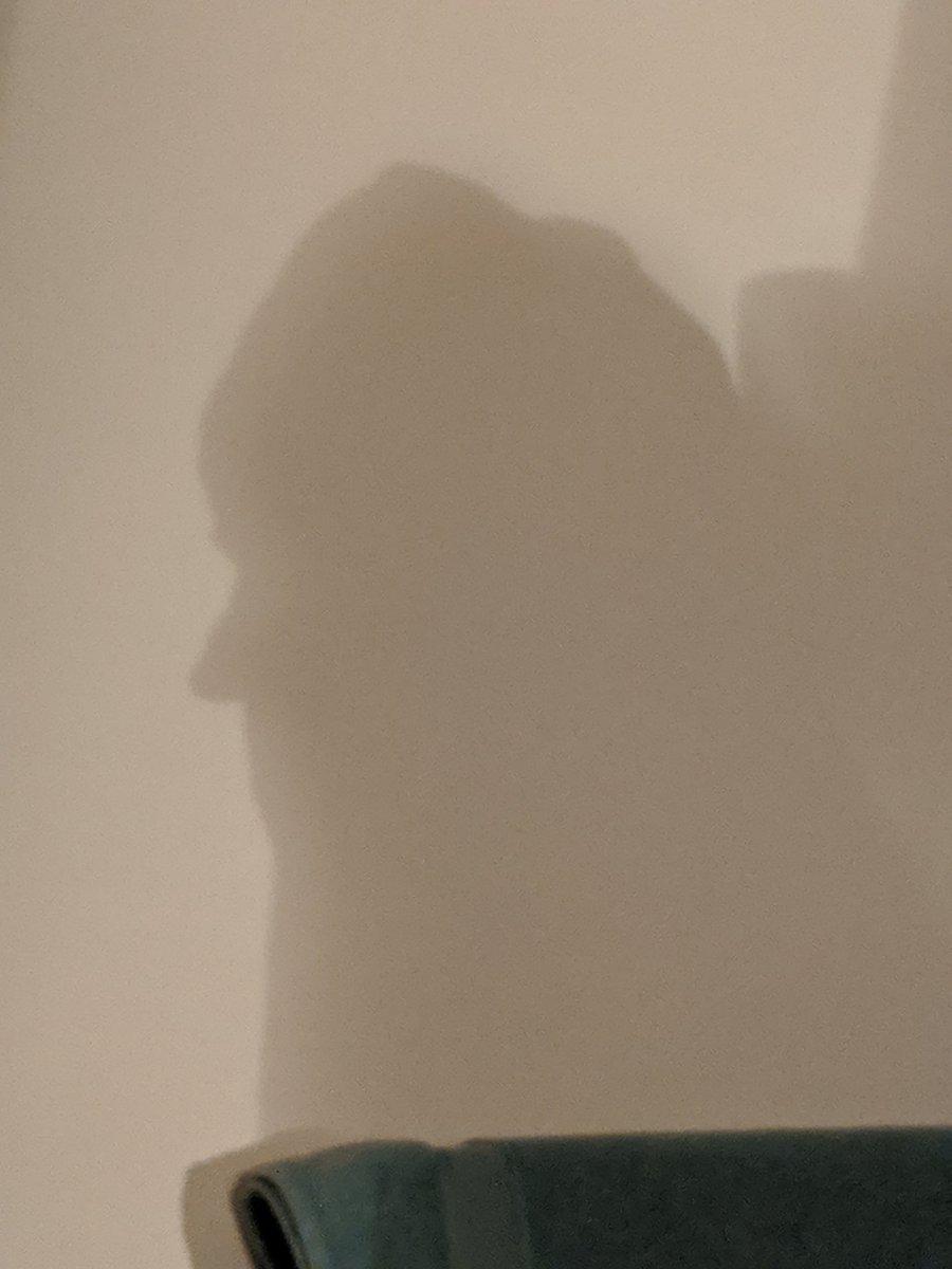 flamingo_21st's tweet photo. To my horror, I realised just before going to sleep that this shadow in my bedroom looks like Boris Johnson https://t.co/7xhn9TUTmH