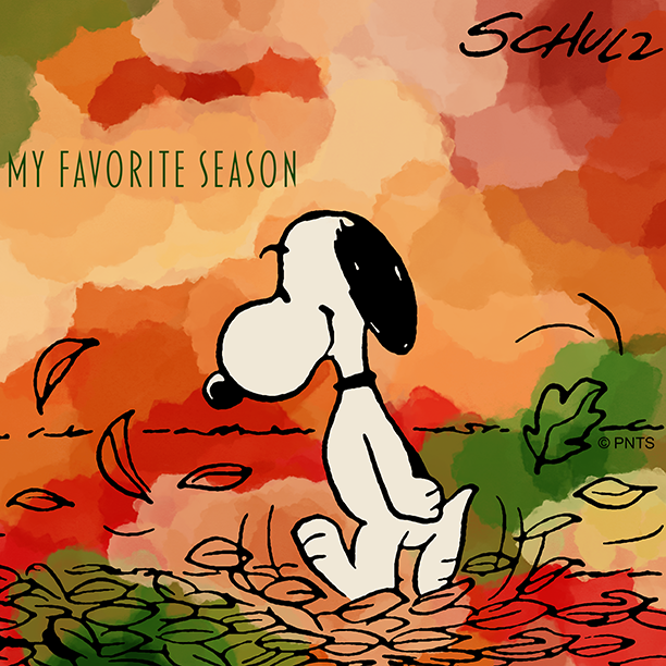 Snoopy's tweet photo. I ❤️ Fall https://t.co/Hew38ZeIev