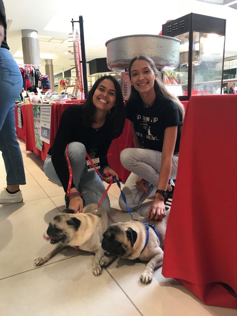 Pre-Vet Students tweet media