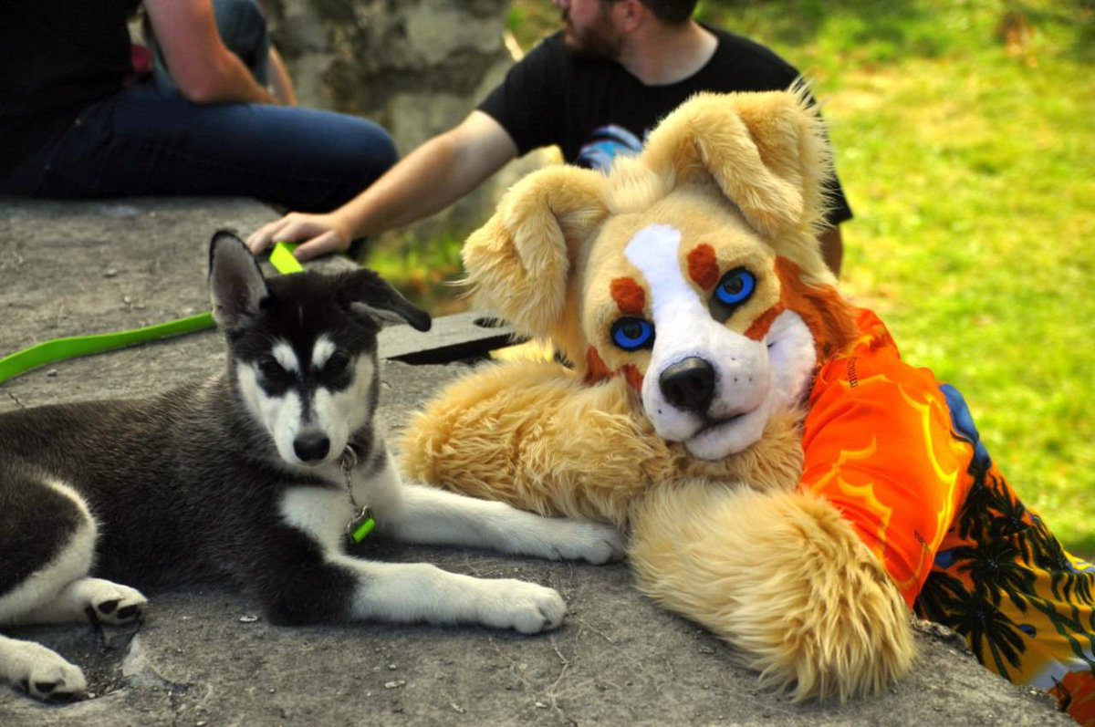 🎉 Anthro East Coast 2020 will be a 2-DAY indoor event!! 🎉

Join us August 15 -16th, 2020 at the Dalhousie University Student Union Building! 

Our annual OMGWTFBBQ will by on Friday, August 14th at York Redoubt National Park! 

📸 By FeatherDragoness
🐶 @Maple_Collie
#AEC2020