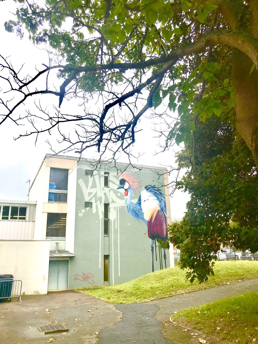 hitwebb's tweet photo. @esmbb @StGermainLaye @Les_Yvelines @Ytourisme @ffbasketball #tuesg #esmbb #yvelines #basket #magnanville #ball #coach #u11 #poussins https://t.co/Od2aT2U1Fx