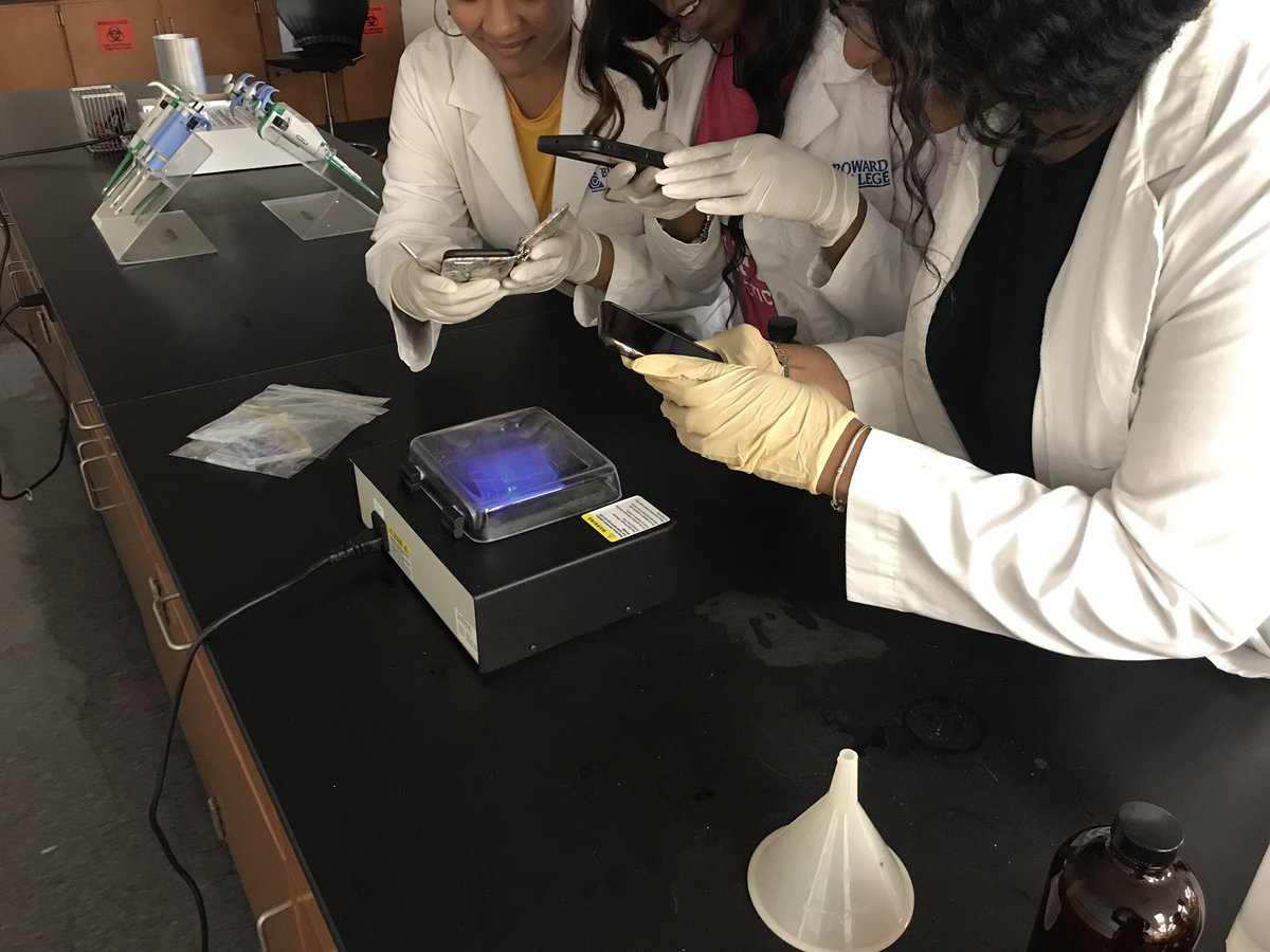 Bc1005L's tweet photo. Collecting data! Micro students determining the source of a nosocomial outbreak! #microbiology #sciencelab #handsonlearning #application #usewhatyoulearn #activelearning #studentengagement @iayala @central_bc @BrowardCollege @BCSouthCampus https://t.co/I2CpwORa0p