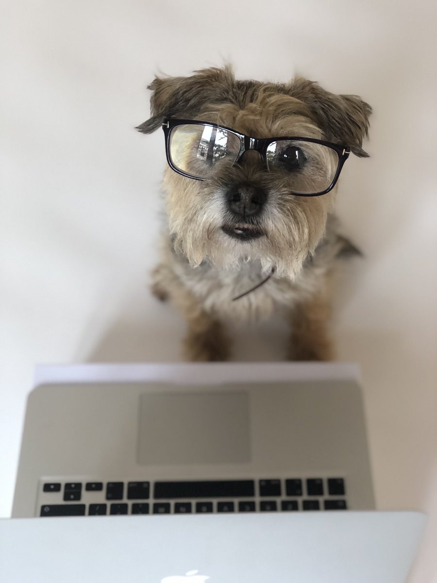 dierenartsmark's tweet photo. Vandaag met fotomodel Broes een fotoshoot gehad voor de Duitse versie van het Kookboek voor Klanthousiasme #GoogleDichSchlau #knappe #Broes #markdierenarts #vleuterweide #leidscherijn #demeern https://t.co/tNas35LlA7