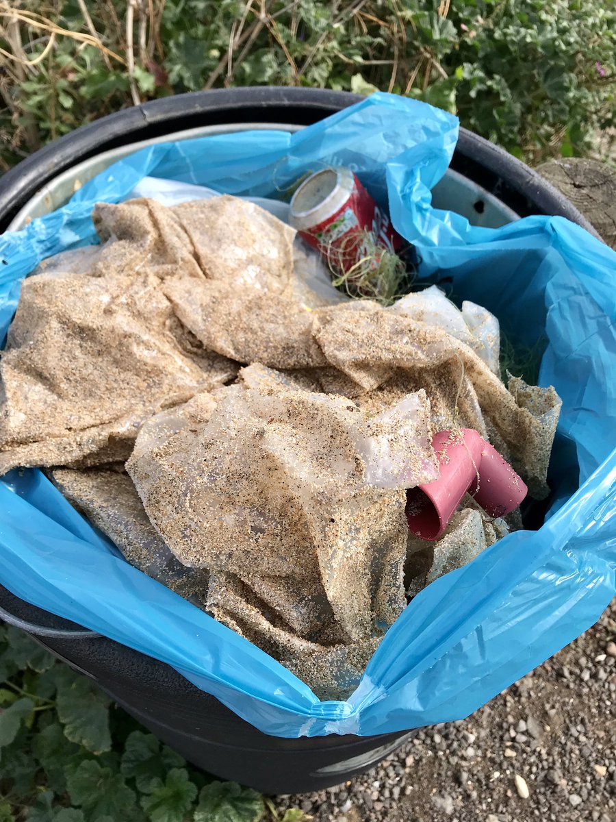 Primageographer's tweet photo. In today’s walk #MrBarker nearly disappeared down a rabbit hole - good job he was on a lead. Our litter pick included lots of fishing line, plastic sheeting, bottles & cans. #GuardiansOfTheDeep https://t.co/A5QDMQ5Dbi