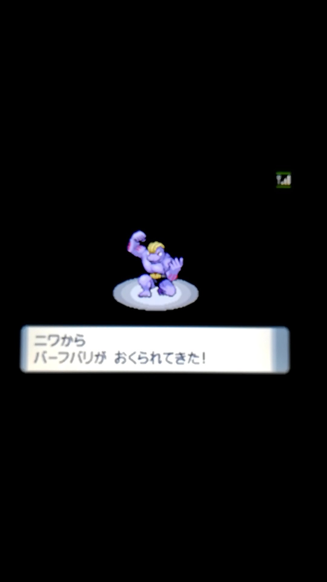 いすゞ三歳 ジャミラ たきのぼり役はキミに決めた ポケモンダイヤモンド パール T Co Epjgvrybw1 Twitter
