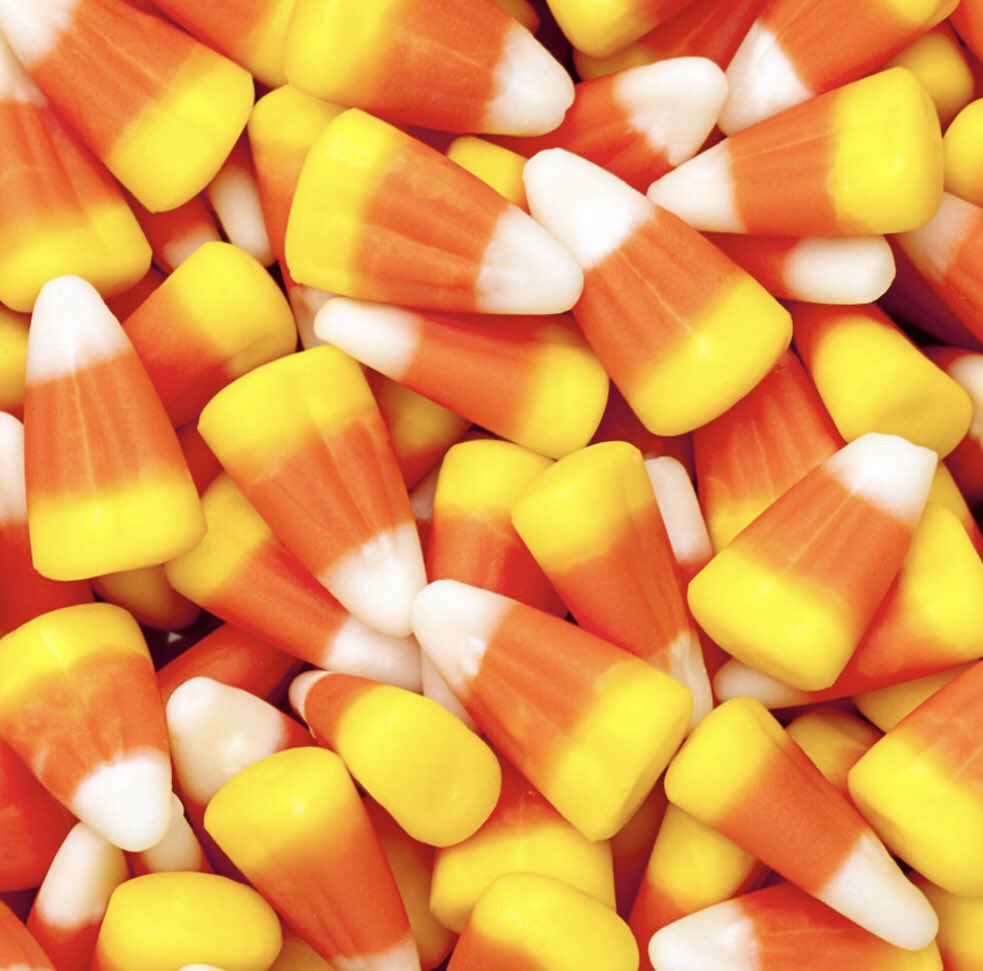 Erick Stevens tweet media