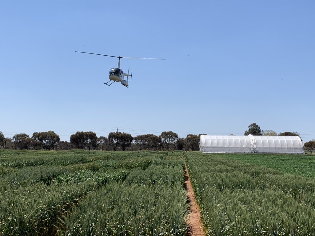 rebetzke_0's tweet photo. Great opportunity for cereal, canola and pulse researchers interested in making use of the Yanco, Merredin and Narrabri Managed Environment Facilities in 2020 @Yanco_MEF @DPIRDWA @pbinarrabri https://t.co/qVZA4kSLpK