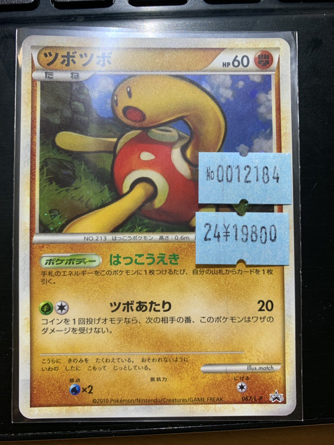 39 割引オレンジ系 内祝い ポケモンカード ツボツボプロモ 希少品 ポケモンカードゲーム おもちゃ ホビー グッズオレンジ系 Pumpkinranch Com