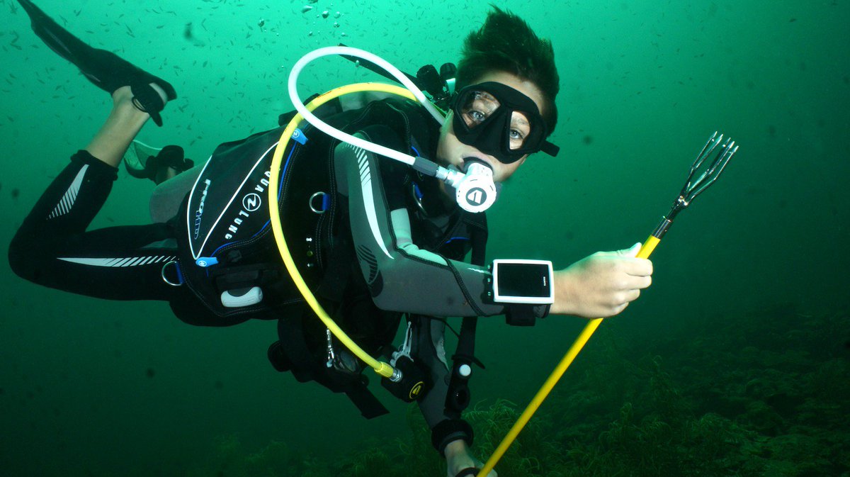 Lionfish are the scourge of the Caribbean, and these invasive fish are decimating local species from the coasts of Florida to the northern shores of Venezuela.  #puredivefest #puredivefestgrenada #purediving #puredivinggrenada scubadivermag.com/mark-evans-fin…