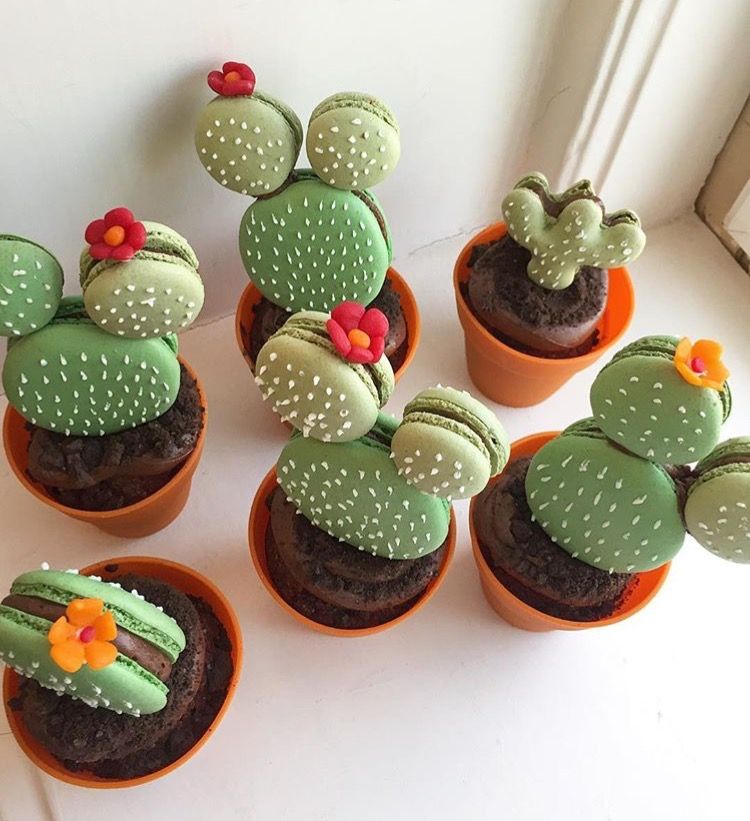 Brindille_'s tweet photo. Tasteful cakes 🌵🧁 by American 'cake artist' Leslie Vigil https://t.co/t4ShwHBXF7