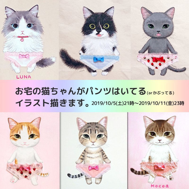 🐱ねこぱんつ🩲 on X: 🐱ねこぱんつ🩲 on X: