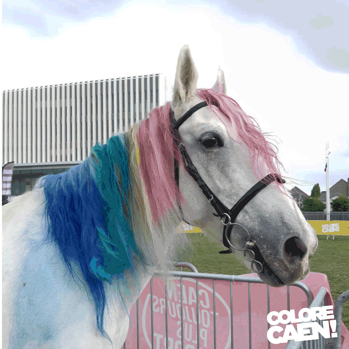 ColoreCaen's tweet photo. 😍 IT'S ALMOST TIME 😍

Les derniers petits réglages de nos bénévoles sont terminés, le village est prêt à ouvrir ses portes ! 🎉

Vous pouvez retirer votre dossard sur le village jusqu'à 16h30 😉

Il y a même des arcs-en-ciel qui vous attendent 🌈🌈
#Colorecaen https://t.co/ayhjZxWrQT