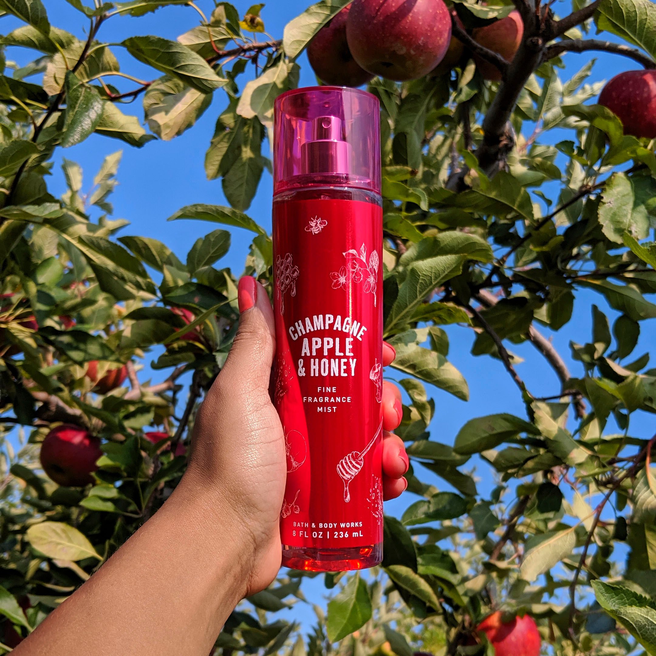 Champagne woods 2025 perfume