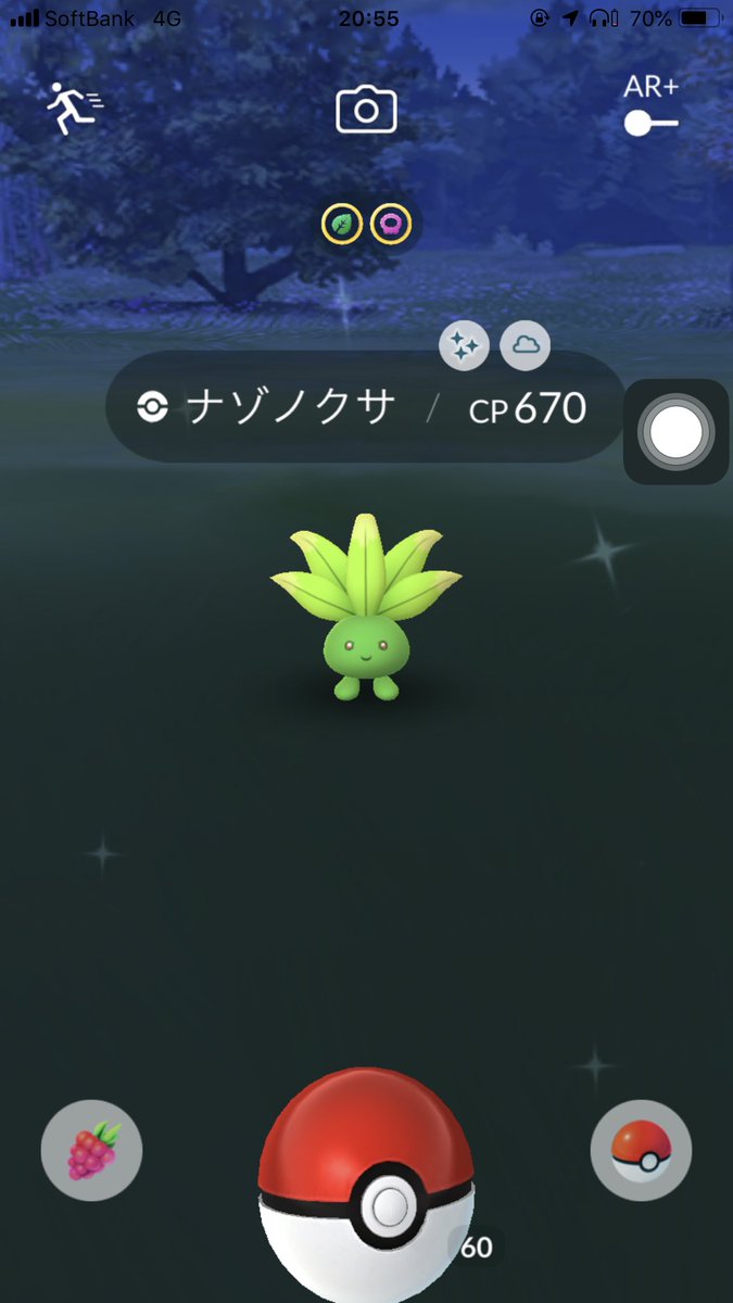 いろはす ポケモンgo 今日のハイライト ナゾノクサ色違い2体目 シャドウヨーギラス97 ヒマナッツとゴマゾウ95 ナゾノクサ色違い昨日と同じとこにいた笑 高個体値ヨーギラスめちゃくちゃ嬉しい バンギラスにします ポケモンgo ナゾノクサ色違い