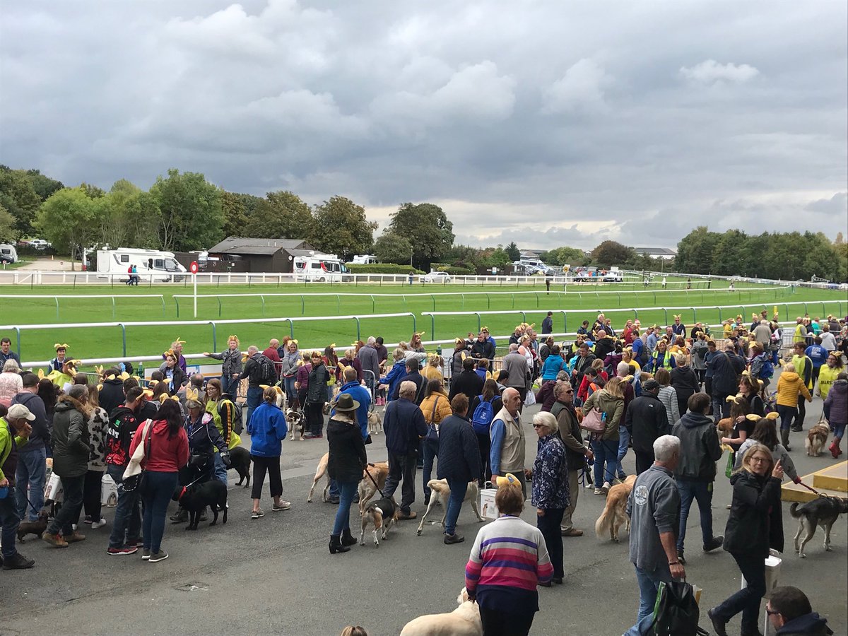 Never seen so many dogs in one place #WorldRecord attempt ⁦<a href="/WarwickRaces/">Warwick Racecourse</a>⁩ 🤞