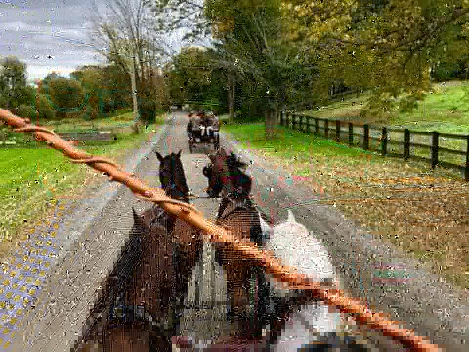 OldguyInspire's tweet photo. First day of long weekend at the 4-in-Hand Club meeting in Amenia, NY. Fun times with my Brother (driving with the glasses). #horses #carriagedriving #4inhand https://t.co/zEBXpTGXAu