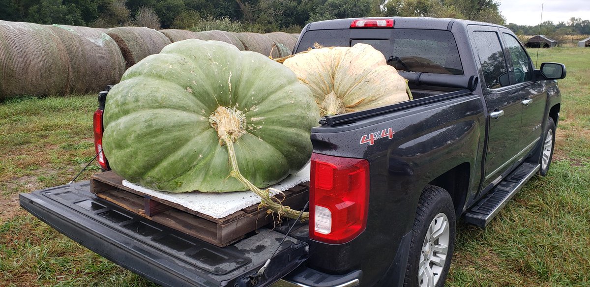 crazpumpkins's tweet photo. On our way to Harrisburg SD for the Southeast SD Giant Pumpkin Growers weigh-off sanctioned by the @GPCpumpkin! https://t.co/nVKgJIcwDr