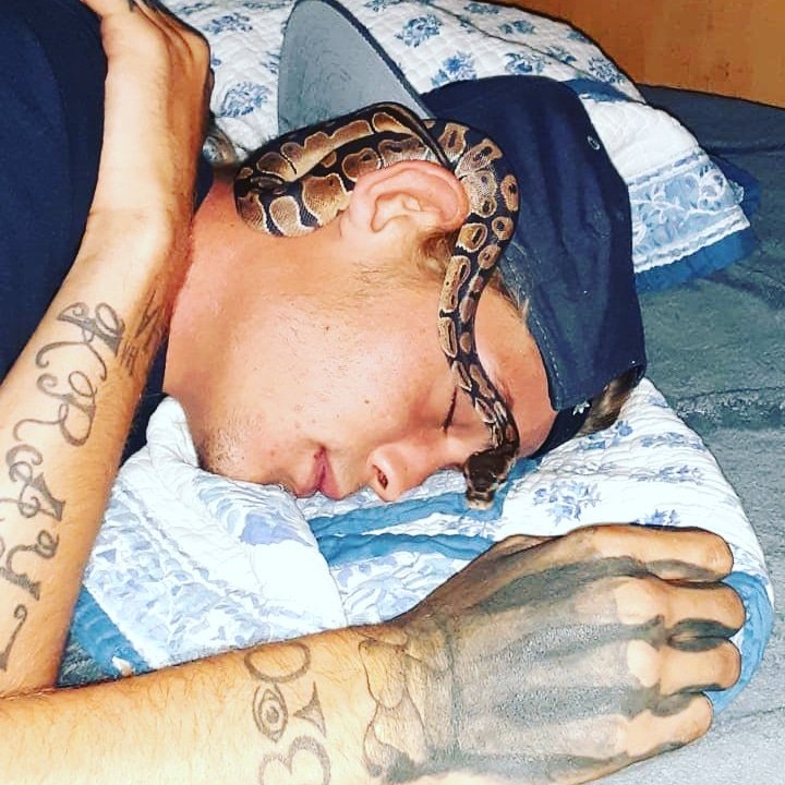 SullenPoison's tweet photo. We have a new family member btw Twitter lol.... #snakes #ballpython #Twitter #photography #beautiful #JokerMovie #haha #tattoos https://t.co/8KhWwrQ85y