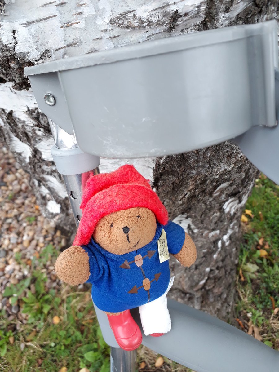 MrPB_Esq's tweet photo. To The Tree and back and a little bit more for #MrPBsFirstSteps #GoWalkMrPB today, saying hello to a friend on the way!
🐻❤🐌
#GetOutside #OneHourOutside 🌫🌳
#RaceAtYourPace 🐾👣
#VirtualRunnerUK for #RAFBF 🔴⚪🔵
#SophiesVirtualChallenge for #BlissBabyCharity 💚 https://t.co/ZUDgZnRpse
