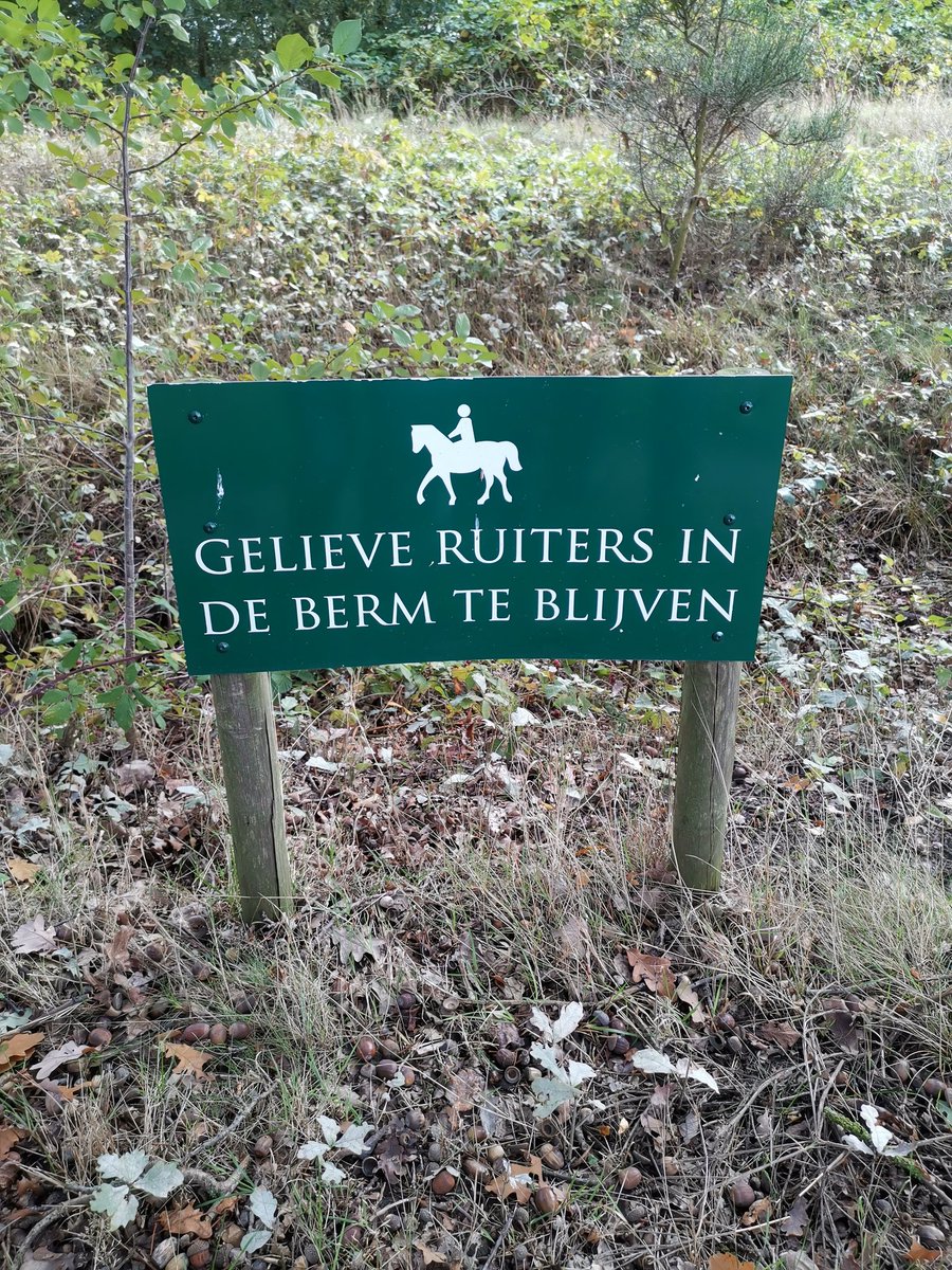 jagdewit's tweet photo. Ze hebben hier nogal last van ruiters in de berm die plotseling in iets anders veranderen. https://t.co/fzTX1pWWdN