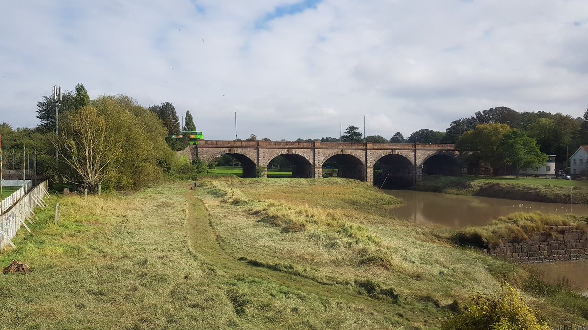 Fun_Bristol's tweet photo. Birds on a train! The temple meads to avonmouth run is so nice with colourful birds all over the windows. Thanks @SevernsideCRP for bringing so much colour &amp; nature to #FunPalaces. Views at Sea Mills are pretty great too! https://t.co/c3qFcO6xeO