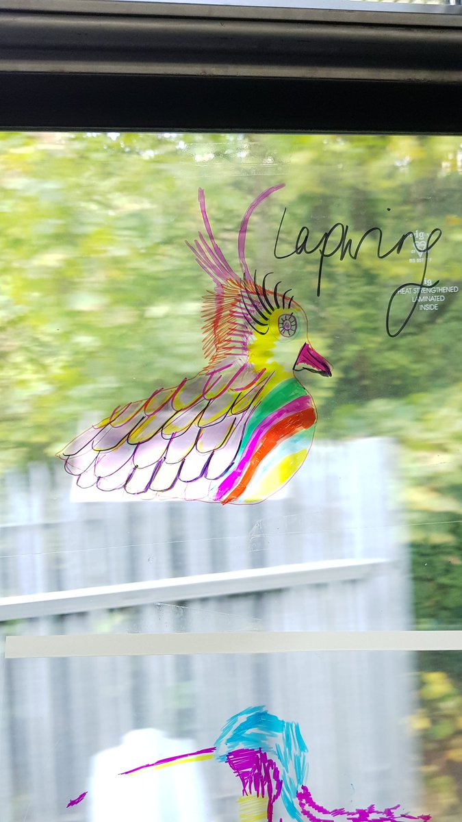 Birds on a train! The temple meads to avonmouth run is so nice with colourful birds all over the windows. Thanks @SevernsideCRP for bringing so much colour &amp; nature to #FunPalaces. Views at Sea Mills are pretty great too!