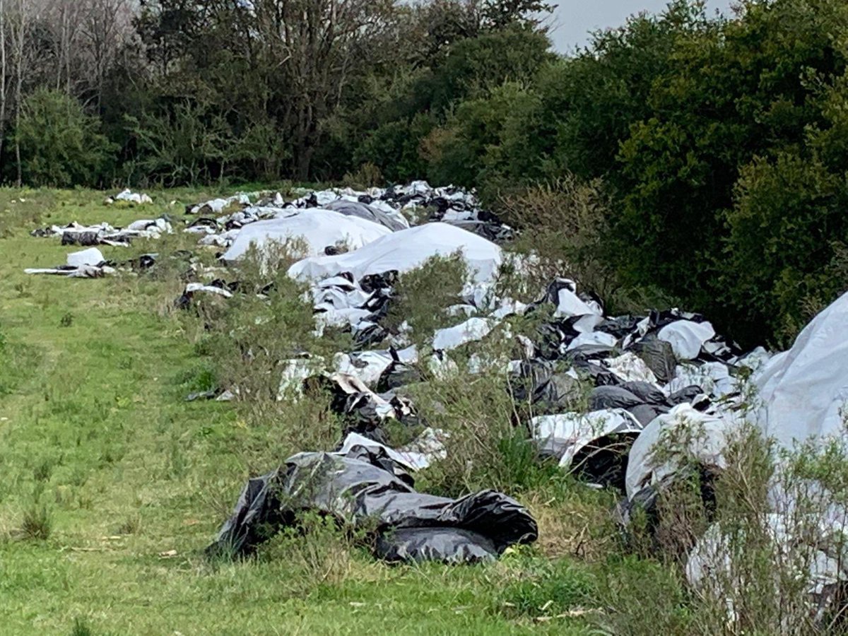 UnidosFlorida's tweet photo. Dip. @JoseArocena en @Exitorama “Hay lugares específicos donde se disponen esos residuos tóxicos, a igual que los bidones, y no es el campo” https://t.co/2NXKsSeODo