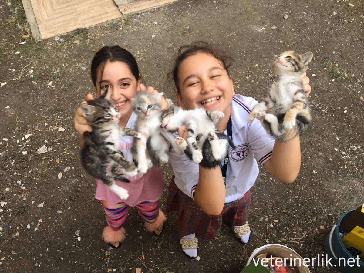 Kediler çözümü olmayan bulmacalardır. 🐱✨

Dostlarınızla ilgili tüm sorularınızı alanında uzman veteriner hekimlerimize ücretsiz sormak için hemen üye olun.

veterinerlik.net

#kedi #cat #hayvan #animal #dost #çocuk #kind #veteriner  #veterinerliknet