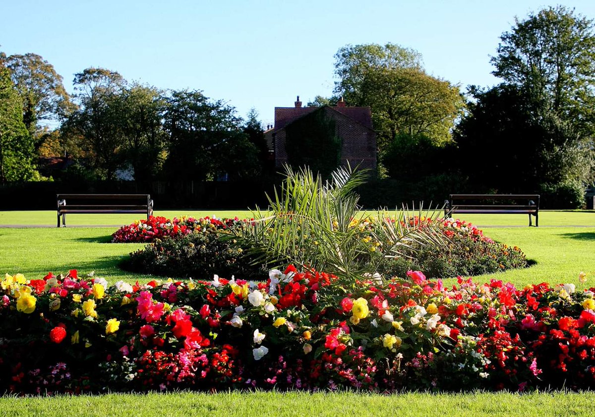 danielcartyima1's tweet photo. Pennington Park still in full bloom, sunshine between the showers for rich rich colours.

@WiganCouncil @InBloomTracey @JoPlattMP @lisanandy @BBCNWT @GranadaReports @lucymeacockitv @annabelvtiffin @leighjournal

#AutumnBloom #Autumn #Bloom #ParkLife #parks https://t.co/ILpQyB3RQ3